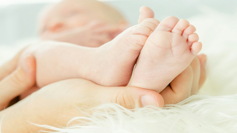 2025年新加坡最好的孕产保险计划指南 The Best Maternity Insurance Plans in Singapore